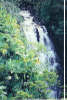 Waterfall in Hawaii